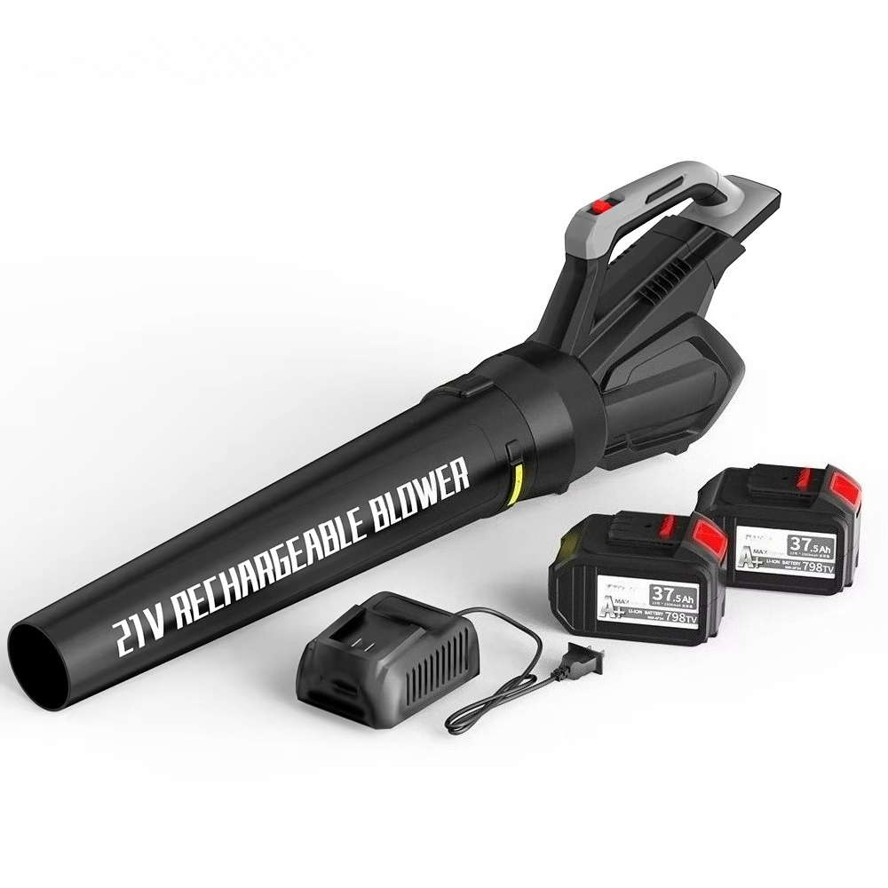 Souffleur de feuilles sans fil - Car Vacuum avis et prix